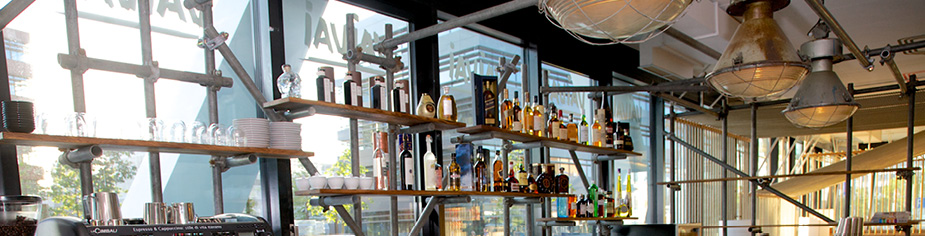 Gastro Consulting Background